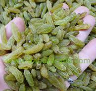 کشمش سبز قلمی با بسته بندی وکیوم